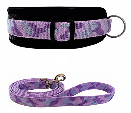 BUDDYPACK | Hundehalsband-Leine-Set | Halsband Extra-Breit Und Weich Gepolstert Plus Leine Mit Handschlaufe 1,50 m | Für Kleine, Mittlere Und Große Hunde | Bunt (Lila-Flieder-Silber, XL (56-61 cm)) von Buddypack