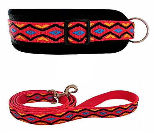 BUDDYPACK | Hundehalsband-Leine-Set | Halsband Extra-Breit Und Weich Gepolstert Plus Leine Mit Handschlaufe 1,50 m | Für Kleine, Mittlere Und Große Hunde | Bunt (Rot-Gelb-Blau-Schwarz, XL (56-61 cm)) von Buddypack