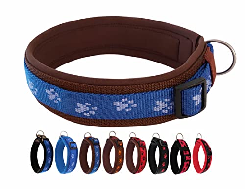 BUDDYPACK | Pfötchen-Hundehalsband Extra-Breit mit Neopren gepolstert | Größe XXS-3XL (4-6 cm breit) | Verstellbar (M/L (47-52 cm), Blau-Braun) von Buddypack