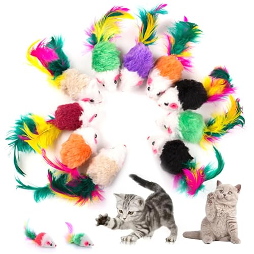 Cat -Mausspielzeug | 10pcs Kätzchenspielzeug, farbenfrohe verschiedene Katzenmausspielzeugspielzeug Plüsch Rasseln Maus Katzenspielzeug mit Federn Schwanz Mini -Mäusen für Innenkatzen interaktives Sp von Budstfee