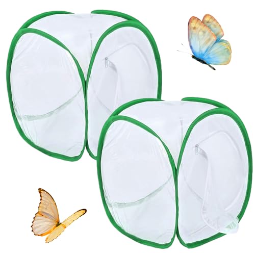 Schmetterlingskäfige Mesh, Schmetterling Käfig 2pcs Schmetterlingslebensraum Käfig 12x12x12 'Faltbarer Schmetterlingshaus Butterfly Garten Popup Mesh Zelt Net Raupen für Butterfly Kit, Butterfly Net von Budstfee