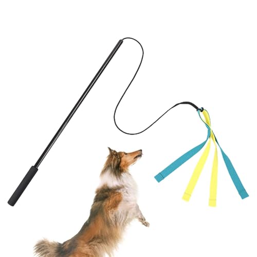 Buerfu Teaser Zauberstab für Hunde,Köderstab für Hunde,Hunde Flirt Köder Pole Stick Spielzeug | Interaktives Hundespielzeug, Hundespielzeug für unterhaltsames Gehorsamstraining, bequemer Griff, von Buerfu