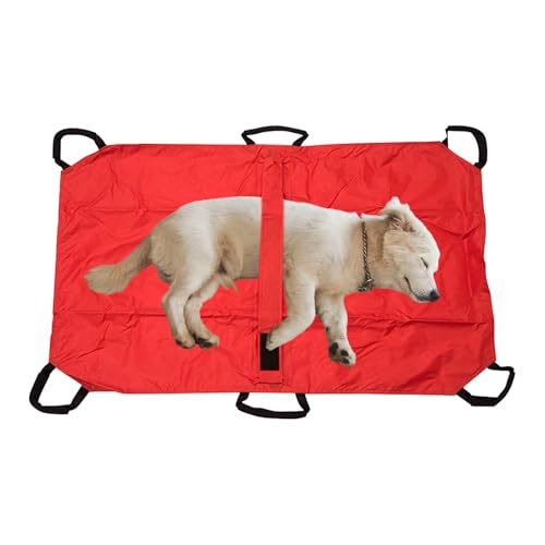 Buerfu Tiertrage für große Hunde | Kleintiertransporttrage - Hohe Tragfähigkeit Transportausrüstung für Katzen und kleine Welpen Buerfu Tiertrage für große Hunde | Kleintiertransporttrage - Hohe Tragfähigkeit Transportausrüstung für Katzen und kleine Welpen von Buerfu