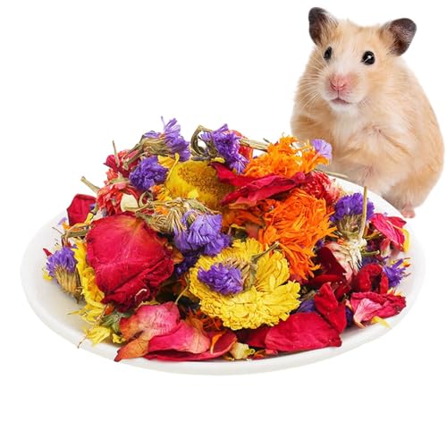 Buhjnmik Hamsterblumen, natürliche Trockenblume, Rennmäuse, Einstreu, Geruchskontrolle, Lebensraum, Dekoration für Kaninchen, Rennmäuse oder andere Kleintiere von Buhjnmik