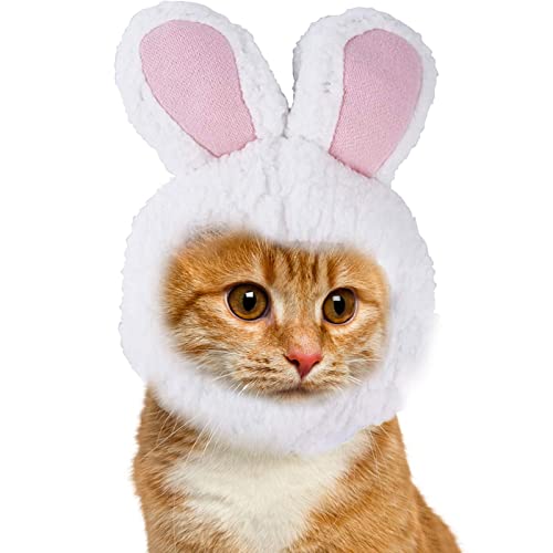 Buhjnmik Katzenhasenohrenmütze,Katzenhasenmütze | Hasenmütze,Lustige Neuheit, verstellbar, weich, bezaubernd, kreativ, Katze, Kaninchen, Haustier, Cosplay, Anzieh, Halloween, Kostüm, Zubehör, von Buhjnmik