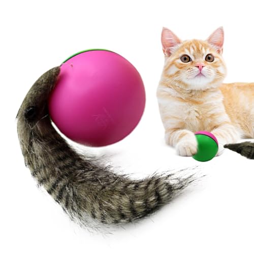 Buhygn Speed Tail Katzenspielzeug, Automatisch Beweglicher Haustierspielzeugball, Interaktives Katzenball-Spielzeug, Einfach zu bedienen, Sicher Für Haustiere, 21 x 8,5 cm Für Katzen Haustiere von Buhygn