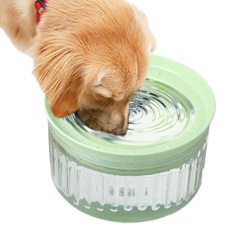 Cat-Wasserspender, Spill Proof Feeder Bowl, Katzenwasserschale, Ergonomisches Easy Grip Design, Multifunktionaler Gebrauch, Weiß, Für Unordentliche Trinker, Haustierhydratation Vorräte von Buhygn