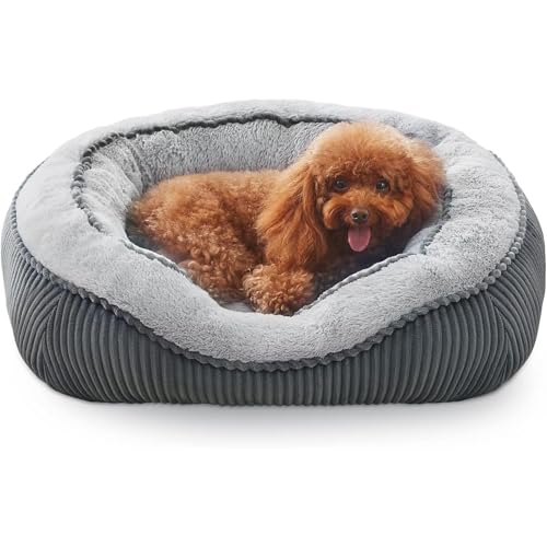 Cozy Medium Dog Bed | Plush Cuddler Dog Sleeping Mattress for Medium Dogs | Comfortable Puppy Mattress Cushion | Washable Cat Bed for Indoor Use | Ideal Dog Crate Kennel Mat von Buhygn