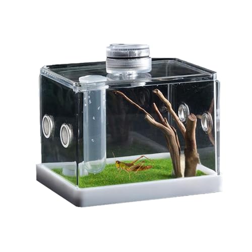 Springspinnengehege, Fischzuchttanks, klares Sichtfeld, belüftetes Design, einfache Wartung, 150 ml, für Spinnenlebensraum, Wasserzucht, Haustiergehege von Buhygn