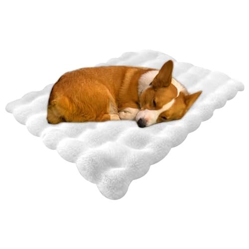 Buhyujkm Cat Mat Bed, Kitten Bed Mat, Dog Sleeping Mat, Dog Kennel Pad, Dog Sleeping Mat and Kennel Pad with Anti-Slip Features for Small Dogs and Cats in Any Environment 60x40cm/23.62x15.75in von Buhyujkm