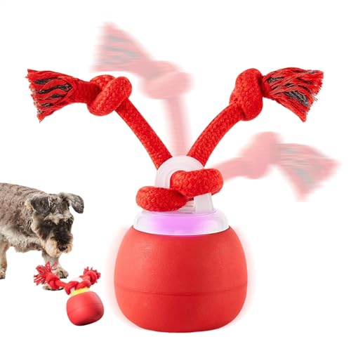 Buhyujkm Interactive Dog Ball, Touch Motion Activated Rolling Toy, Rechargeable Squeaky Dog Toy, Ball with Rope, Fun Playing for Small and Medium Breeds, 3.23x2.68 Inches von Buhyujkm