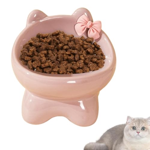 Ceramic Raised Cat Bowl,15-Degree Tilted Pet Cat Food Bowl, Non-Slip Kitten-Shape Pet Feeding Bowl for Indoor Cat Small Dog Kitten, Stylish Cat Feeding Bowl, Durable Ceramic Pet Dish von Buhyujkm