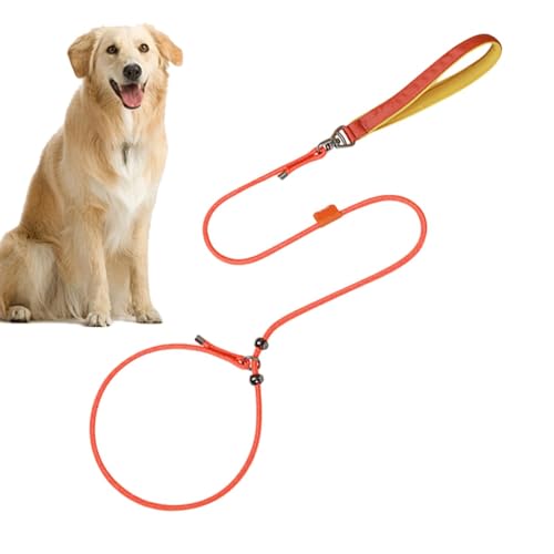 Hundeleinen für kleine Hunde – 150 cm verstellbarer Halsgurt, um 360 Grad drehbar, verknotungssicher, ausbruchsicher, doppeltes Design von Buhyujkm