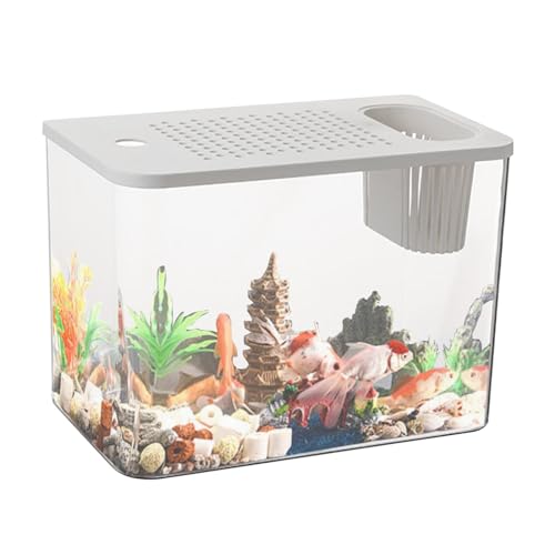 -Betta-Aquarium, Tisch-Aquarium,Desktop-Display, transparentes Schildkröten-Aquarium | Kleine Aquarien, dekorativer kompakter Tank für die Schildkrötenzucht, kleine Fische von Buhyujkm