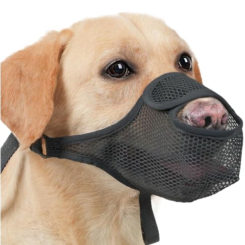 No Bark Muzzle, Mesh Basket Mouth Cover, Long Use Soft Adjustable Mesh Muzzle, Comfortable Scavenging and Licking Prevention for Families and Dog Lovers, 7.87x5.91x0.39 Inches von Buhyujkm