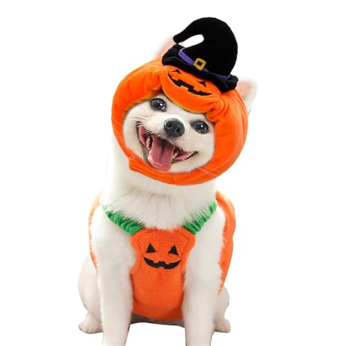 Pumpkin Dog Costume, Halloween Dog Outfit, Cozy Dog Clothes, Festival Dog Costume, Cute Dog Hat, Dog Cosplay Costume, Warm Dog Outfit, Puppy Halloween Costume, Dog Festival Clothes von Buhyujkm