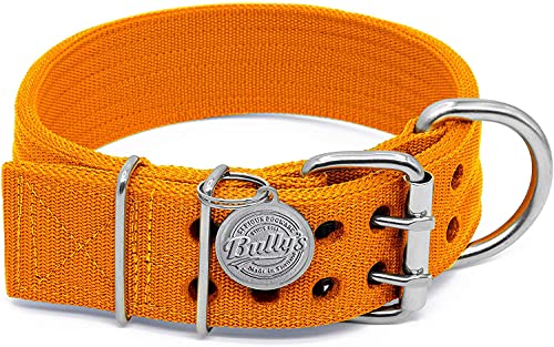 Pit Bull Collar, Dog Collar Large Dogs, Heavy Duty Nylon, Stainless Steel Hardware (Medium, Orange Juice) von Bully's