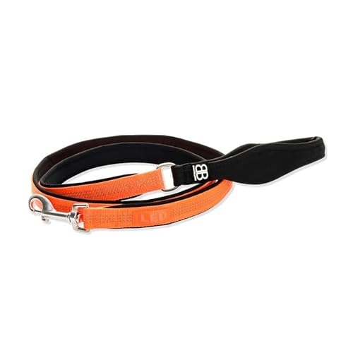 BULLYBILLOWS Active Light Lead - Reflektierende Nylon-Hundeleine mit Neopren-gefüttertem Griff, Edelstahlbeschläge - Hundeleine - 1,4 m Länge - Orange von BullyBillows