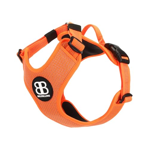 BullyBillows Active Light Hunde Geschirr mit Griff, hochwertiges Hundegeschirr, gepolstertes Futter und stark reflektierendes Hundegeschirr, geeignet für alle Hunderassen, Orange, Extra - Klein von BullyBillows