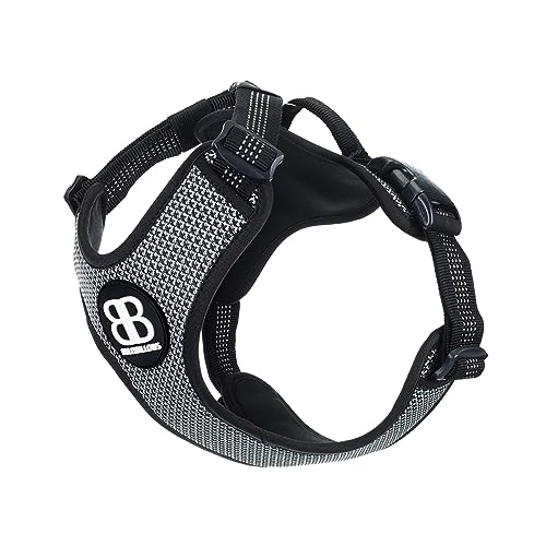 BullyBillows - Active Light Harness (mit Griff) - Schwarz C von BullyBillows