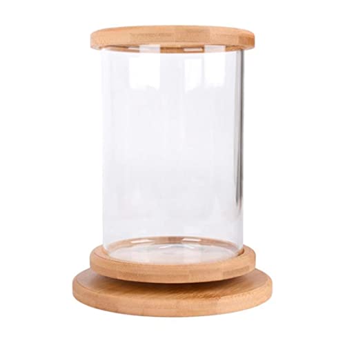 Bumdenuu Mini Glas Fisch Aquarium Bambus Basis Aquarium Dekoration Drehen Dekoration Fisch Aquarium ÖKologische Flasche Fisch Aquarium von Bumdenuu