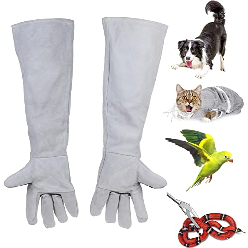 Animal Handling Anti-Biss/Kratzer Durable Handschuhe,Breathable Canvas Futter for Dog Cat Bird Snake Parrot Lizard Wild Animals Protection Thickened Handschuhe (grau) von BundleMall