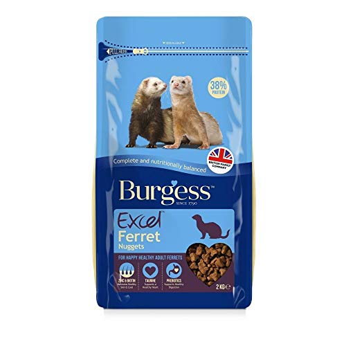 Burgess 2 kg Excel Ferret Nuggets von Burgess