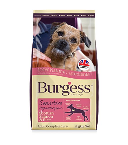 Burgess Sensitive Dry Dog Food Salmon, 12.5 kg (Packaging May Vary) von Burgess Sensitive