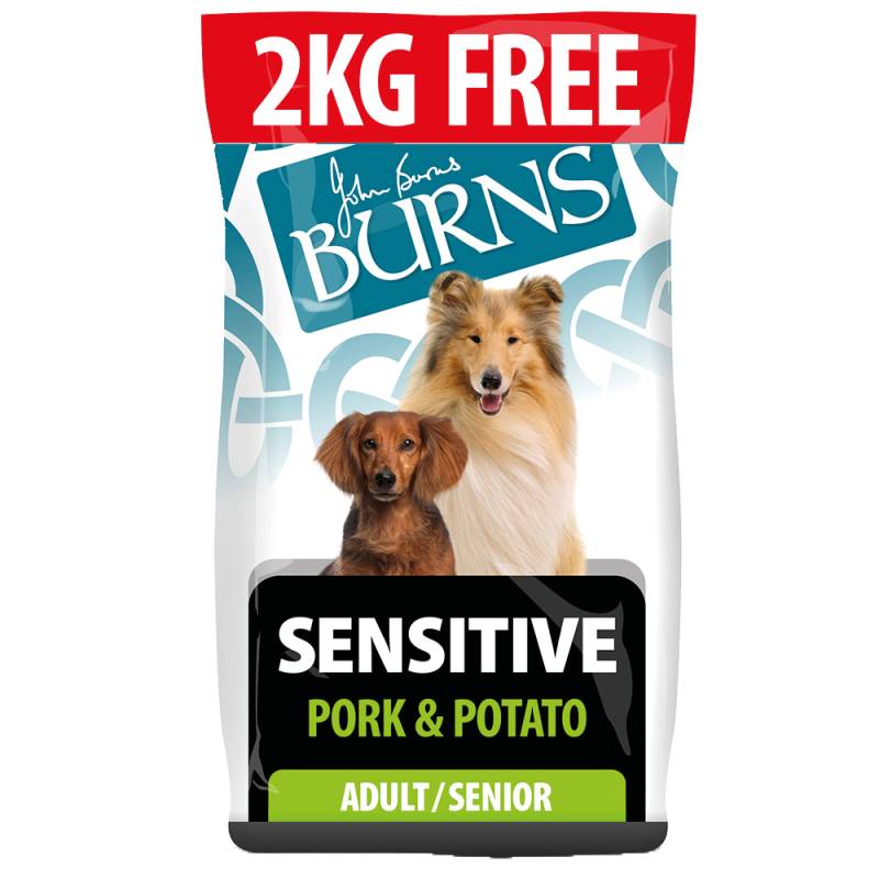 2 kg gratis! 14 kg Burns Trockenfutter - Adult Sensitive - Schweinefleisch & Kartoffel von Burns