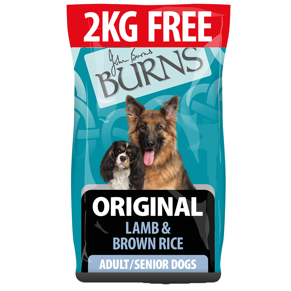 2 kg gratis! 14 kg Burns Trockenfutter - Adult & Senior Original - Lamm & Brauner Reis von Burns