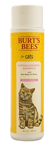 Burt's Bees Katzenshampoo, hypoallergen, mit natürlichen Inhaltsstoffen von BURT'S BEES FOR PETS