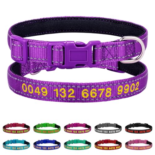 Personalisiertes Besticktes Hundehalsband mit Klickverschluss, Hunde Halsband mit Wunschtext, Telefonnummer gesticketen - Reflektierendes Hundehalsband Ideal für den Urlaub oder Camping von Buruslove