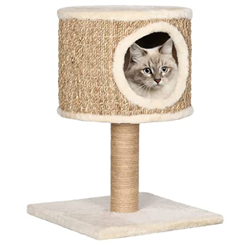 Bussandri Exclusive - Katzen-Kratzbaum mit Katzenhöhle 52 cm Seegras von Bussandri