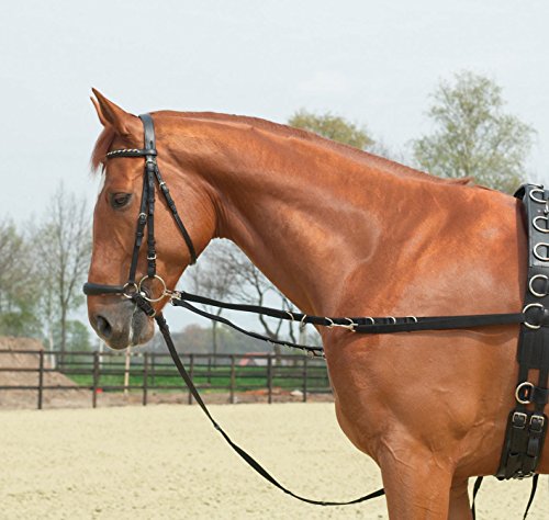 Busse Ausbindezügel OESEN-STARR von Busse