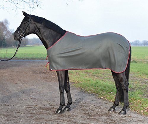 Busse Abschwitzdecke SEASON-STANDARD Größe 165, Farbe anthrazit/vino von Busse