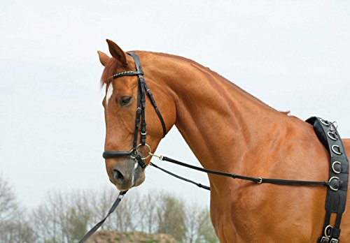 BUSSE Ausbindezügel BASIC-STARR von Busse