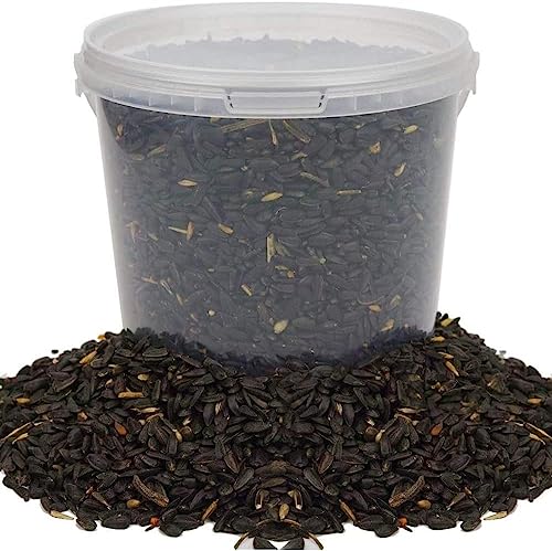 BusyBeaks Schwarze Sonnenblumenkerne - Ölreiche Futter für Wilde Gartenvögel (1L) von BusyBeaks