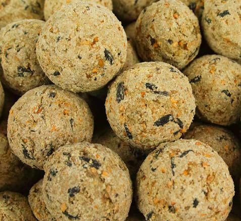 BusyBeaks Meisenknödel ohne Netz - Premium-Vogelfutter für Wildvögel, verbesserte Wildvogelfutter Ganzjahres-Formel, Energie- & proteinreiches Futter, nahrhafter Fettfutter (10 Stück) von BusyBeaks