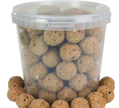 BusyBeaks Suet-Fettbällchen Premium-Garten-Wildvogelfutter Verbesserte Formel für das ganze Jahr Natürlich gemischt, energiereich und proteinreich, voller frischer, nahrhafter Fette (10L Eimer) von BusyBeaks