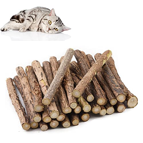 Butyeak Katzen Kauhölzer, Catnip Snacks Sticks, Katzen Zahnpflege Sticks, 30 Stück Dental Sticks Katze, Katzenminze Sticks, Katzenminze Sticks, Katzensticks Zur Zahnreinigung, Katzenminze Spielzeug von Butyeak