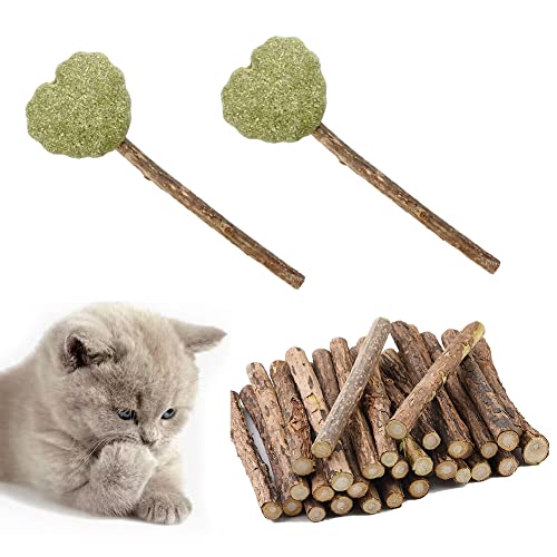 katzenminze Sticks für Katzen,Katzen Kauspielzeug, Matatabi Stick Katzen Sticks, Matatabi-Kausticks als Katzenspielzeug, Kauholz Katze Catnip Sticks, Katzenminze Sticks zum Schleifen von Zähnen von Butyeak