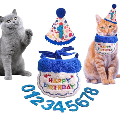 Alles Gute zum Geburtstag Katzenkostüm, Katzen-Geburtstagskostüm | Katzen-Geburtstagsparty-Zubehör,Katzen-Happy- - -Dekorationen, festliches Katzen-Geburtstagshalsband, Geburtstagszubehör m von Bvizyelck