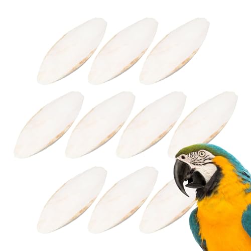 Bvizyelck 10 Stück Vogel Sepiaschalen Spielzeug Sepiaschalen Vögel Kauen Spielzeug Papageien Kauspielzeug Vögel Ausbildung Kauen Spielzeug Tintenfisch Sepia Knochen Training Kauen Molaren Spielzeug von Bvizyelck