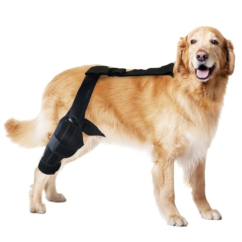 Bvizyelck ACL Kniebandage für Hunde, professionelle Kniebandage, Hinterbeinstabilisator für kleine Hunde, Neopren-Hüftbandage mit verstellbarem Traktionsgurt für Kreuzbandverletzungen, Gelenke von Bvizyelck