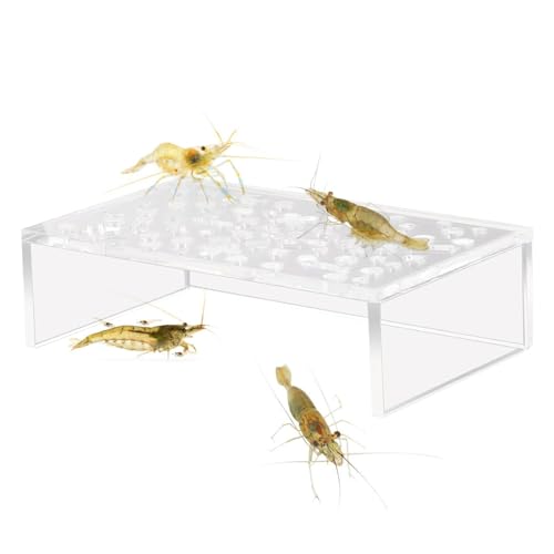 Bvizyelck Garnelenzuchtschutz, Acryl-Garnelen-Zuchthöhle, Aquarium, Garnelenzucht, elegante Garnelen-Tank-Dekoration, transparente Höhle für Garnelen-Aquarien von Bvizyelck