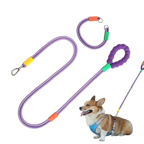 Bvizyelck Hundeseilhalsband für große Hunde, Haustier-Traktionsseilhalsband, verstellbares Hundehalsband und Traktionsseil-Set, niedliches starkes Trainingsseil für Haustiere von Bvizyelck