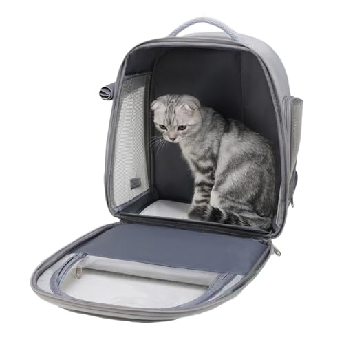 Bvizyelck Katzenrucksack – belüftete Haustier-Tragetasche, bequemer, leichter, geräumiger Rucksack für kleine Hunde, Katzen, Reisen, Wandern, Spazierengehen von Bvizyelck