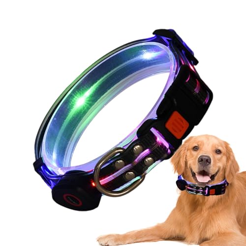 Bvizyelck LED-Lichthalsband für Hunde,LED-Leuchthalsband für Hunde,Beleuchtetes, verstellbares, wiederaufladbares LED-Haustierhalsband | Wetterfeste Hundelichter für Nachtspaziergänge, Machen Ihren von Bvizyelck