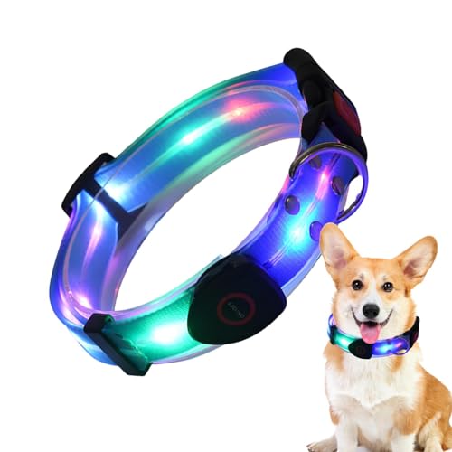 Bvizyelck LED-Lichthalsband für Hunde,LED-Leuchthalsband für Hunde | Beleuchtetes, verstellbares, wiederaufladbares LED-Haustierhalsband | Wetterfeste, wiederaufladbare USB-Hundelichter zum von Bvizyelck