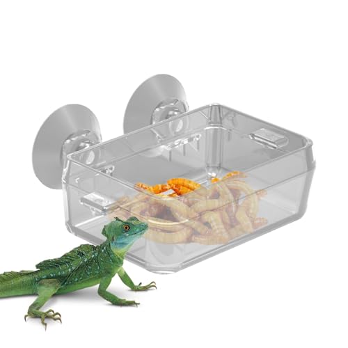 Bvizyelck Reptilien-Futterschale Reptilien-Futterleiste mit Saugnapf, Anti-Escape Futternapf Transparent Futterschale für Gecko, Chamäleon, Schlangen von Bvizyelck